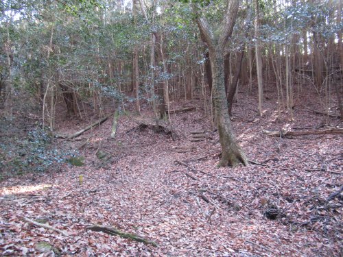 登山道